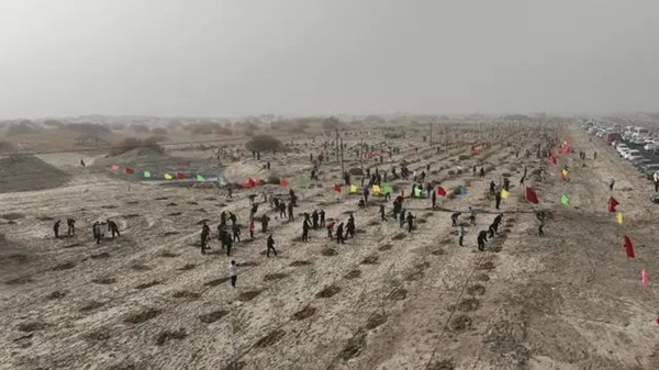 1699409474404627.jpg 1.webp_副本.jpg