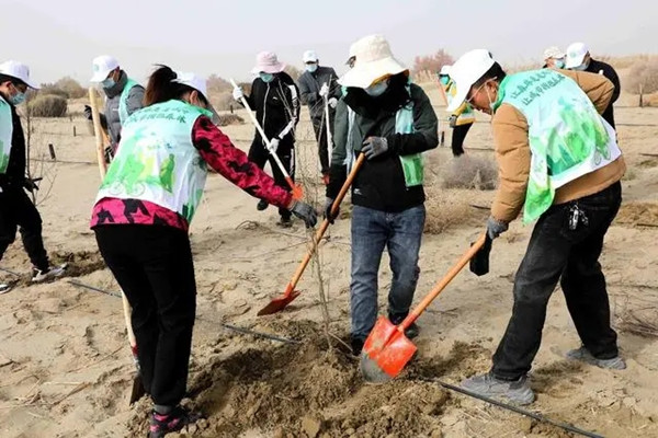 1699409491531086.jpg 3.webp_副本.jpg