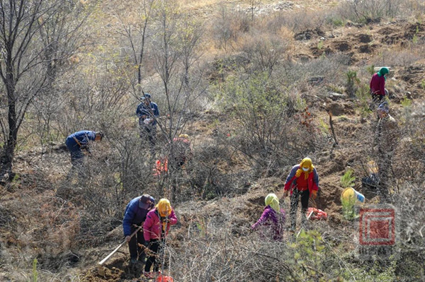 1700038044953215.jpg 1_副本.jpg