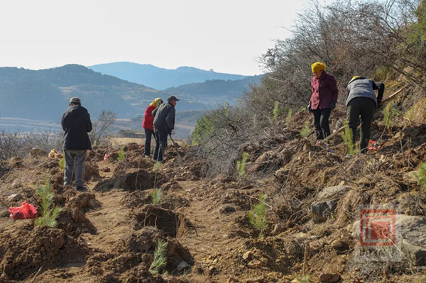 1700038081525429.jpg 2_副本.jpg