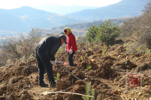 1700038098662482.jpg 4_副本.jpg