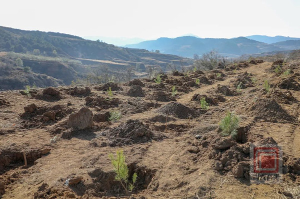 1700038125254826.jpg 5_副本.jpg