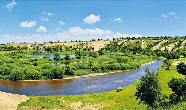 1700112394662023.jpg 2_副本.jpg