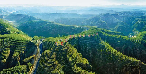 1700112406823625.jpg 3_副本.jpg