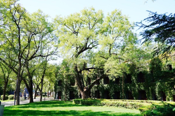 1701842949634272.jpg 20231206_001_52905_副本.jpg