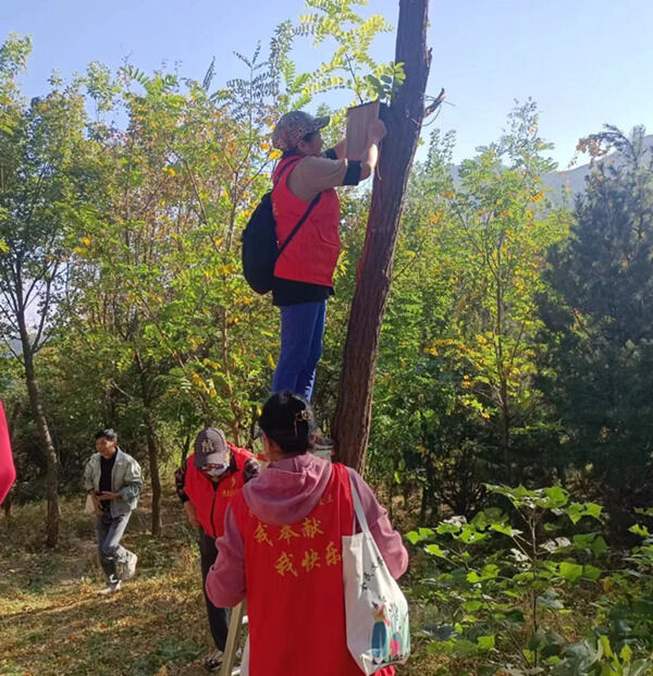 1702004569930485.png 1700197981210071_副本.png