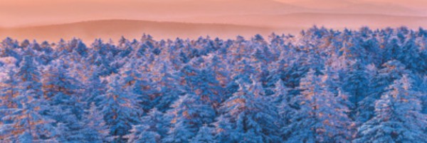 1705546441261018.jpg 1705440915251_1_副本.jpg