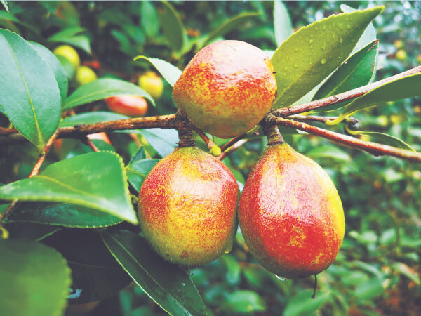 1705555680246539.png 2_副本.png