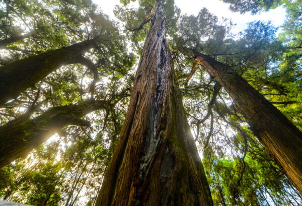 1706232179677488.png 1_副本.png