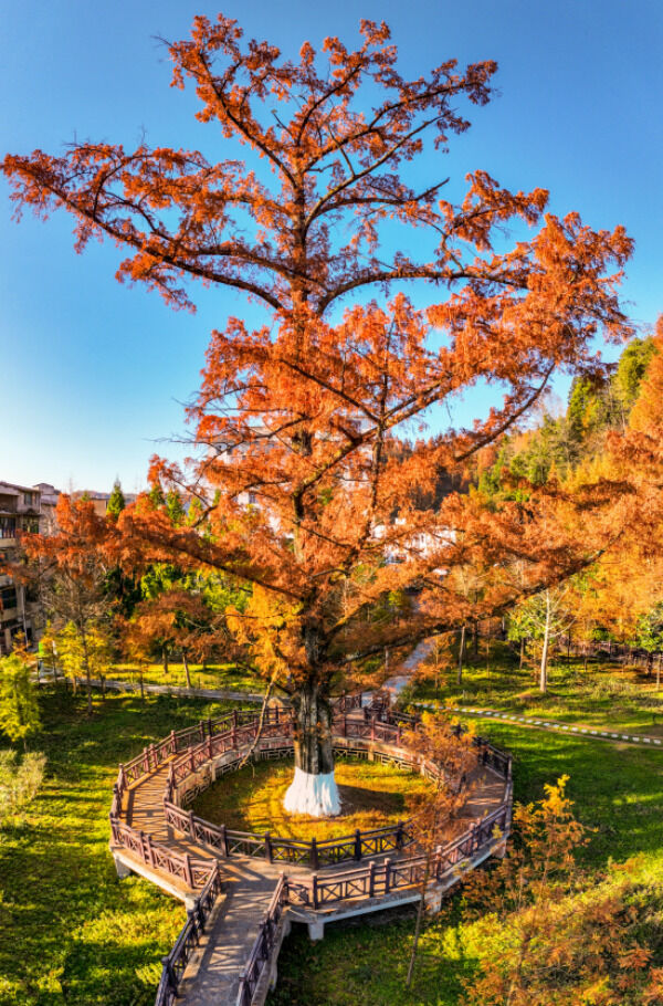 1706232186389014.png 2_副本.png