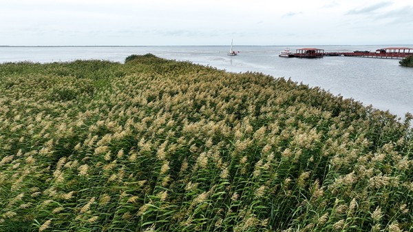 1706235472572848.jpg 10_副本.jpg