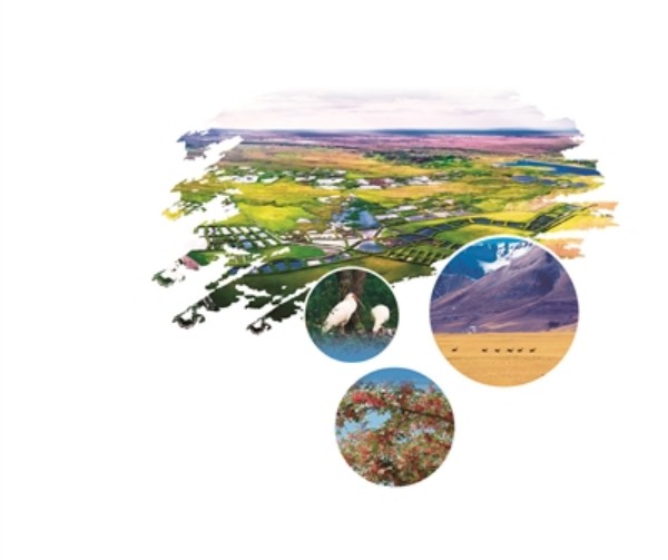 1706246629646017.jpg 64581706229351818_副本.jpg