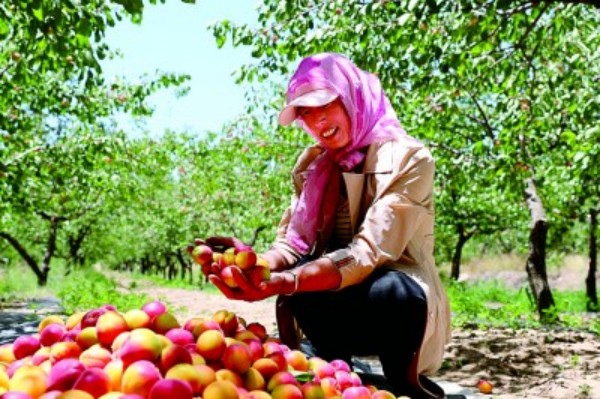 1706494341693682.jpg 18c04d00990c26f449bd03_副本.jpg