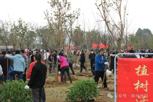 1708304816779585.jpg 2_副本.jpg