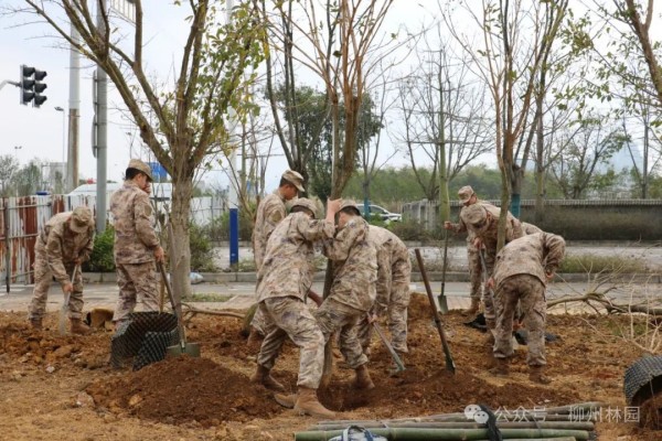 1708304825318815.jpg 3_副本.jpg