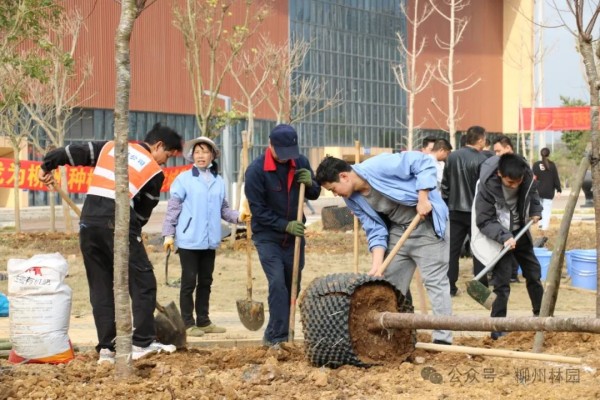 1708304836218177.jpg 4_副本.jpg