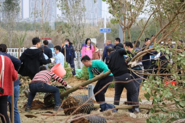 1708304844143483.jpg 5_副本.jpg