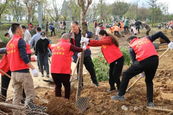 1708304852997629.jpg 6_副本.jpg