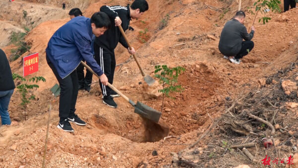 1708306316466570.png 3_副本.png