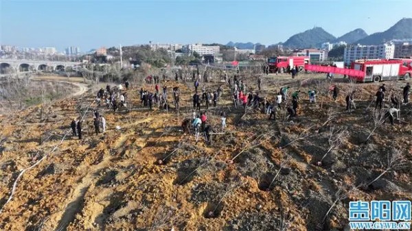 1708310807650353.jpg 1_副本.jpg