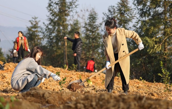 1708313229195677.jpg 1_副本.jpg