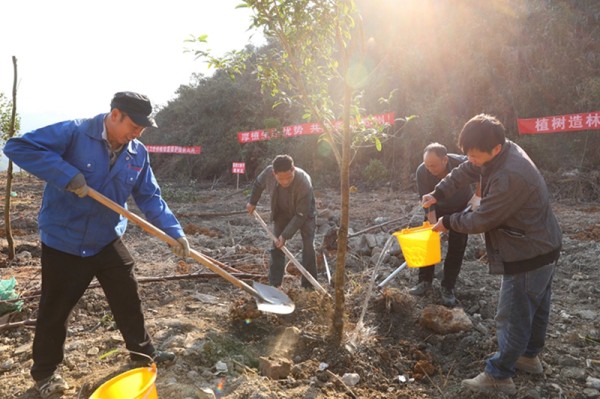 1708313243768294.jpg 3_副本.jpg