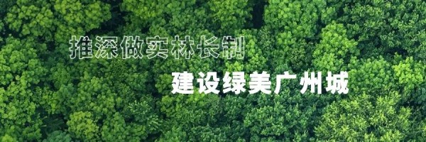 1708395185387957.jpg 1_副本.jpg