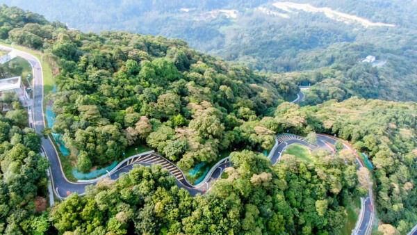 1708395247639206.png 5_副本.png