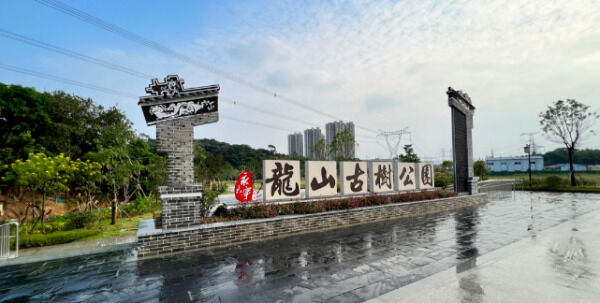 1708395258187691.png 6_副本.png