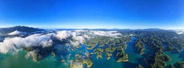 1708395277417091.jpg 7_副本.jpg