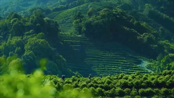 1708395285216960.jpg 8_副本.jpg