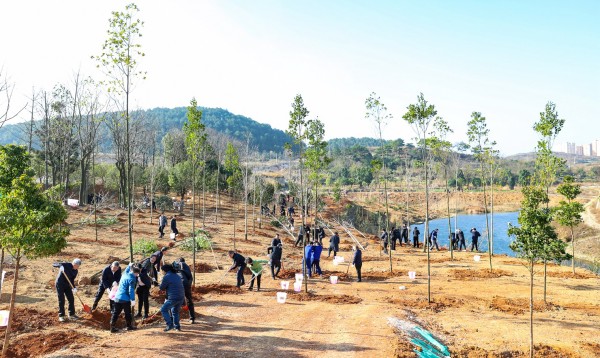 1708395777479473.jpg 3_副本.jpg