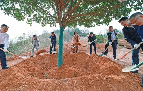 1708405948482139.jpg 1_副本.jpg