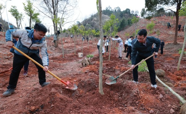 1708405955840999.jpg 2_副本.jpg