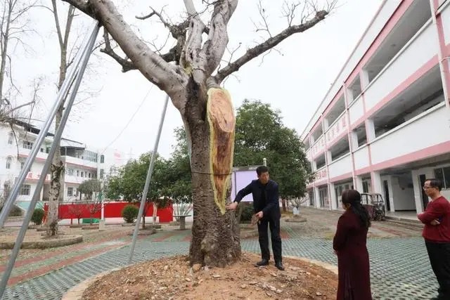 1708588244170368.jpg 1_副本.jpg