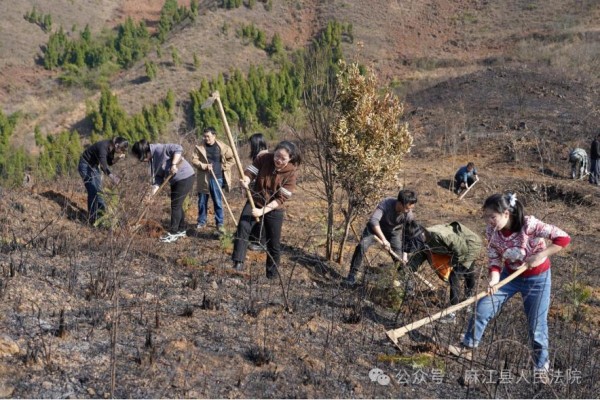 1708592535499767.jpg 1_副本.jpg