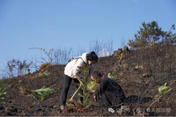 1708592555967914.jpg 5_副本.jpg