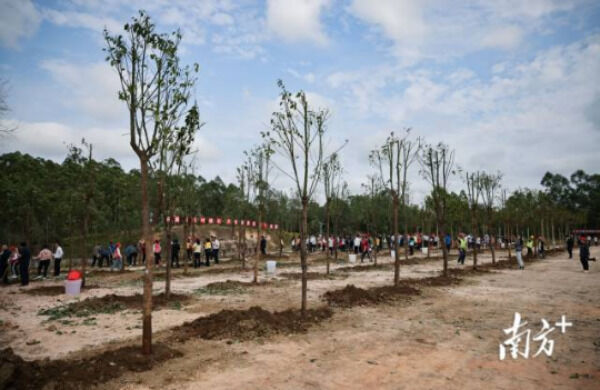 1708656621856794.png 3_副本.png