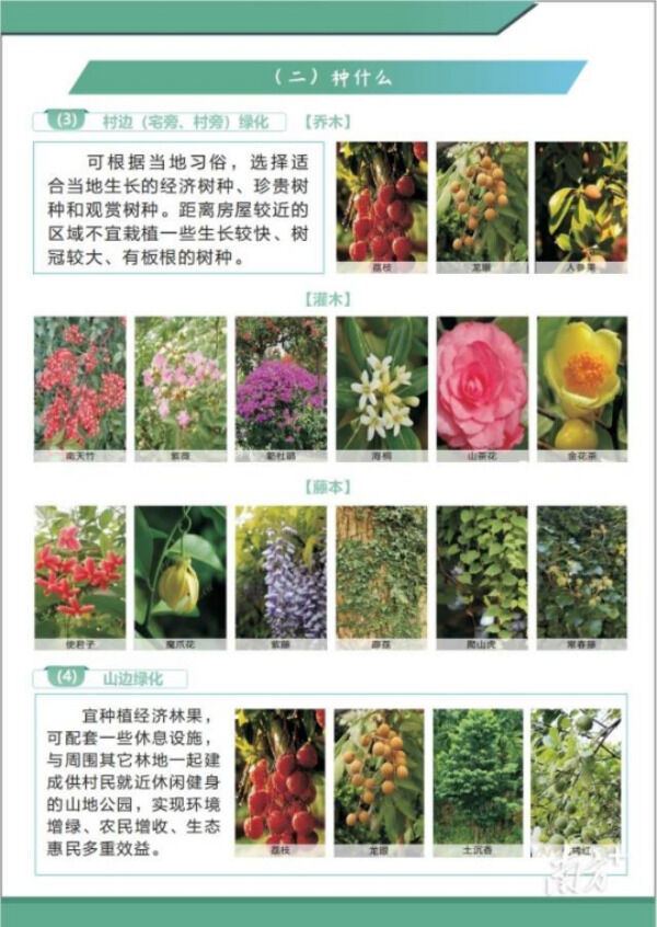 1708656684395019.png 6_副本.png