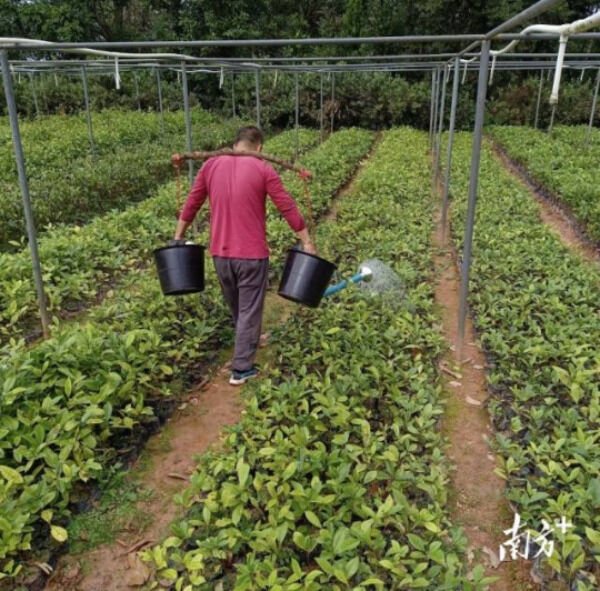 1708656706583811.png 7_副本.png