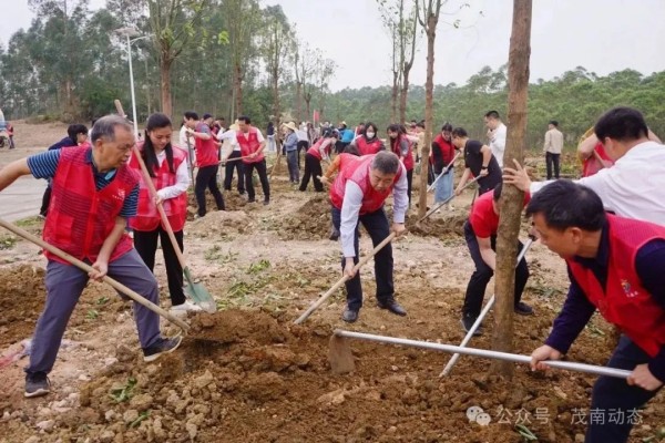 1708999138280457.jpg 3_副本.jpg