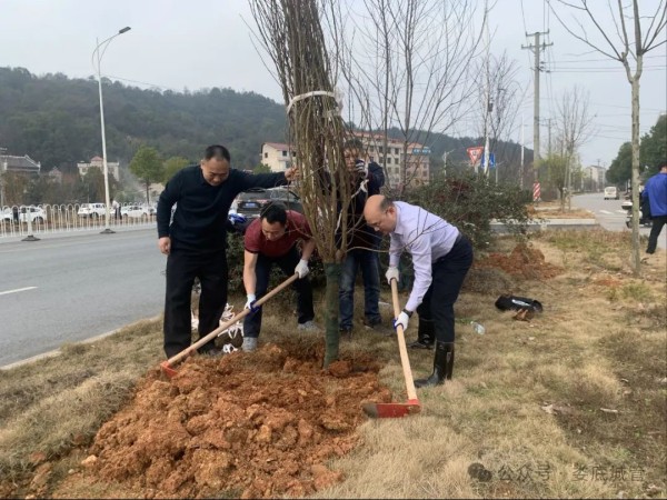 1709001442284734.jpg 2_副本.jpg