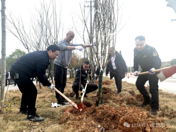 1709001459369373.jpg 6_副本.jpg