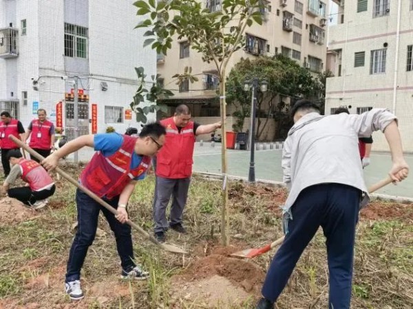 1709002076590683.jpg 11_副本.jpg