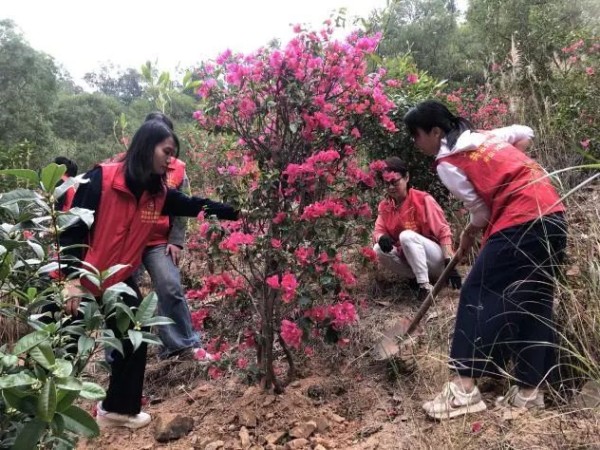 1709002089732633.jpg 12_副本.jpg