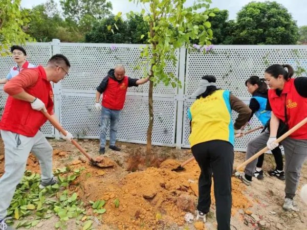 1709002106508938.jpg 14_副本.jpg