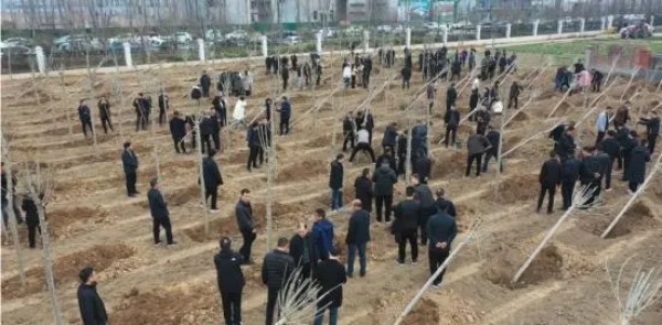 1709003422918200.jpg 91529822720e0cf3c716daebf1986612bf09aa2d_副本.jpg