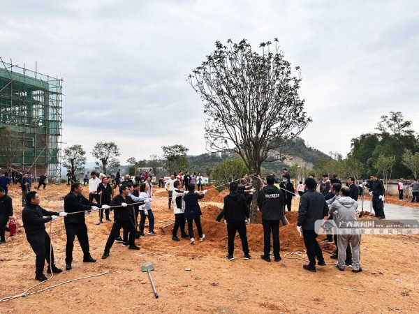 1709003648679138.jpg 3_副本.jpg