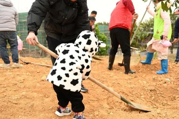 1709515678279401.jpg 2_副本.jpg