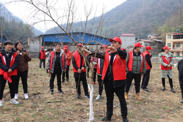 1709515874603654.png 9_副本.png